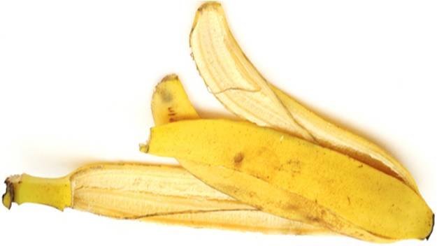 BananaPeel11