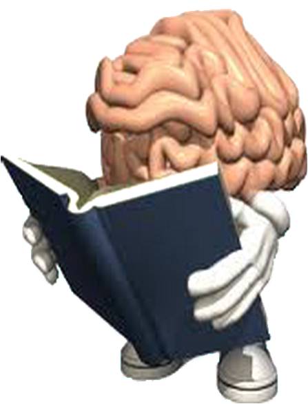 Brain Reading