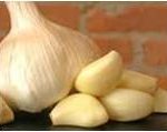 Garlic2