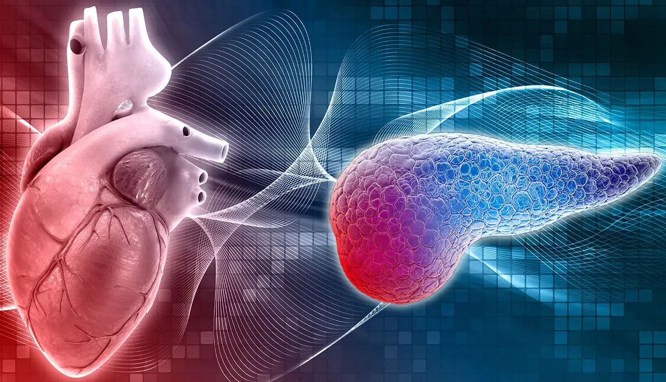 Heart and Pancreas